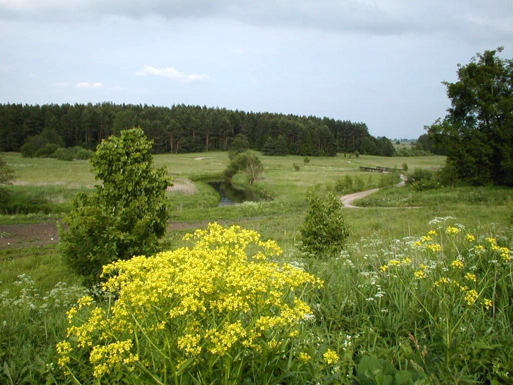 Palac Wojciechy Buitenkant foto